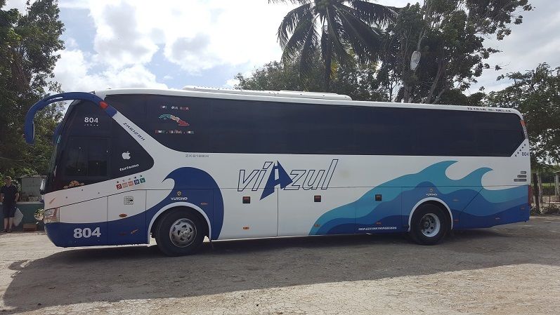 Автобусы фирмы Viazul